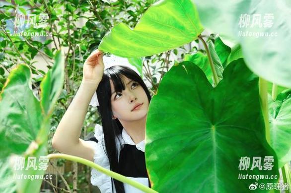 独享白莉爱吃巧克力女神气息，免费图包就在这里，别犹豫啦！